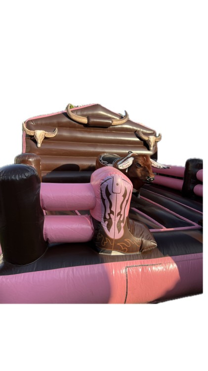 Mechanical Bull Rentals